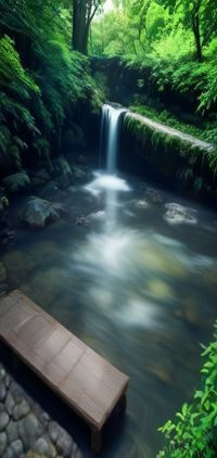 个人中心界面，显示关注数、粉丝数、观看历史与我的收藏等入口
